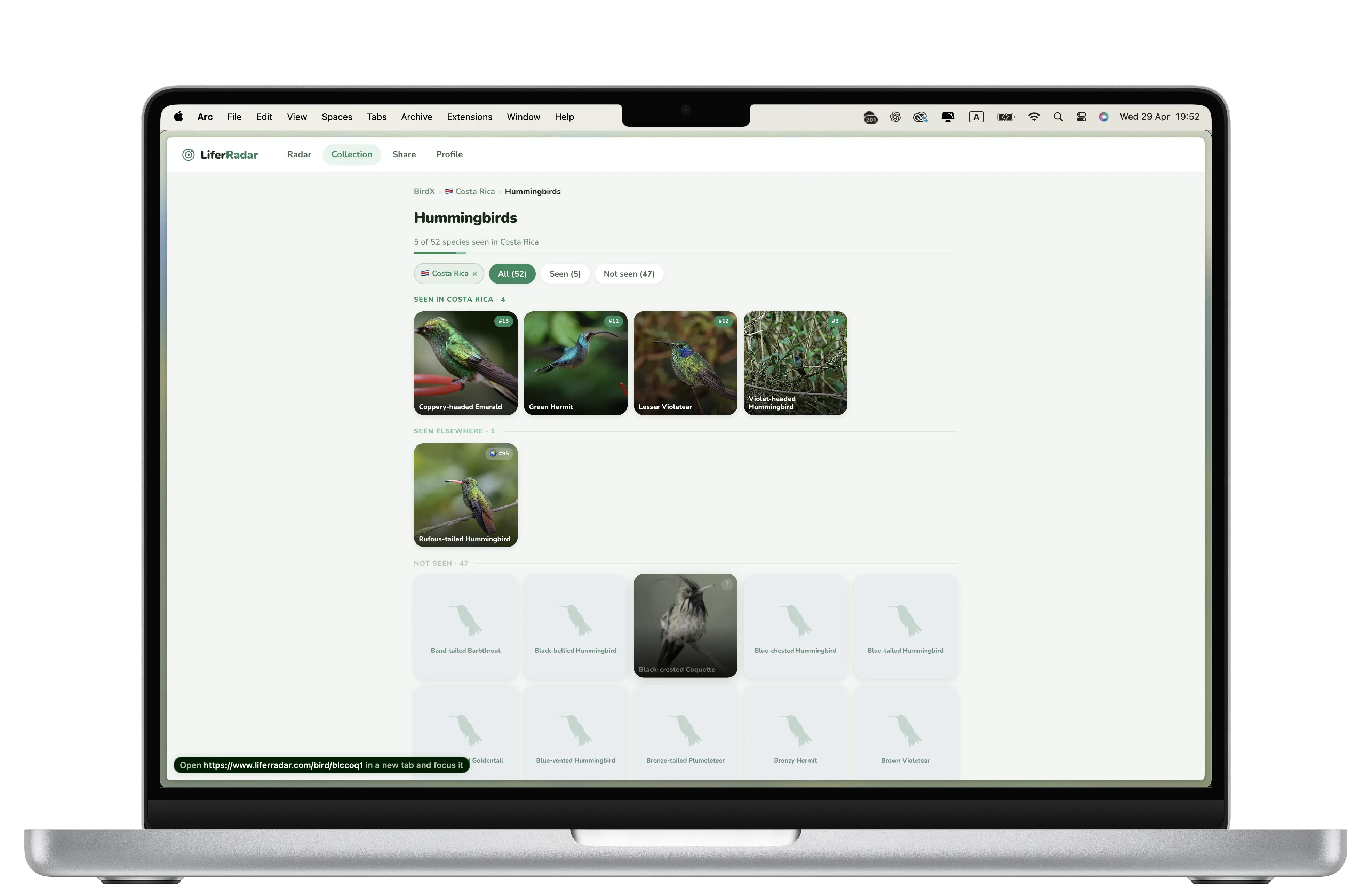 BirdX bird family on desktop